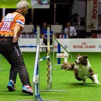 Geen training zonder tugtoy Geen training zonder tugtoy